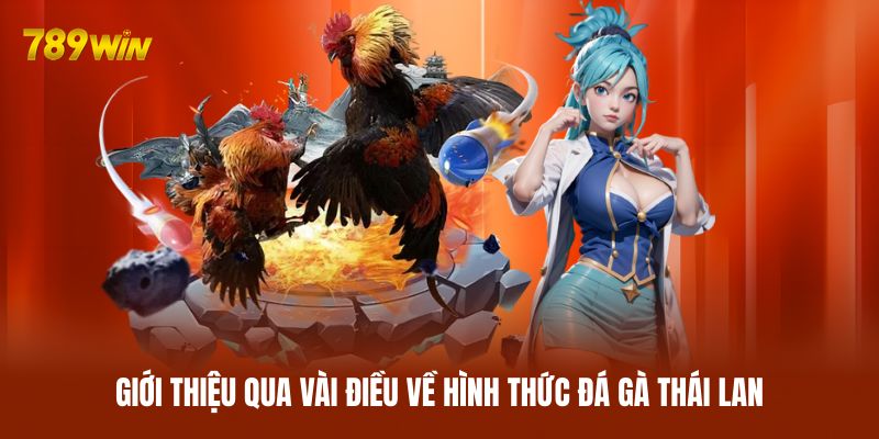 Giới thiệu qua vài điều về hình thức đá gà Thái Lan Giới thiệu qua vài điều về hình thức đá gà Thái Lan