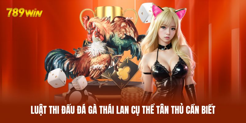 Luật thi đấu đá gà Thái Lan cụ thể tân thủ cần biết Luật thi đấu đá gà Thái Lan cụ thể tân thủ cần biết