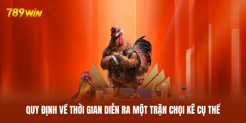 Quy định về thời gian diễn ra một trận chọi kê cụ thể Quy định về thời gian diễn ra một trận chọi kê cụ thể